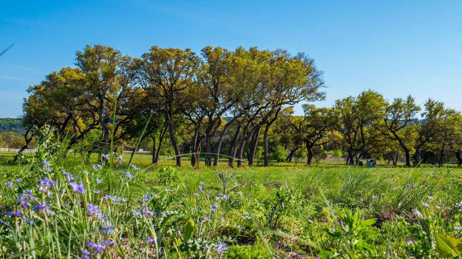 Whitewater Springs Large Acreage Tract TDR Real Estate Group Hill Country Ranch Sales